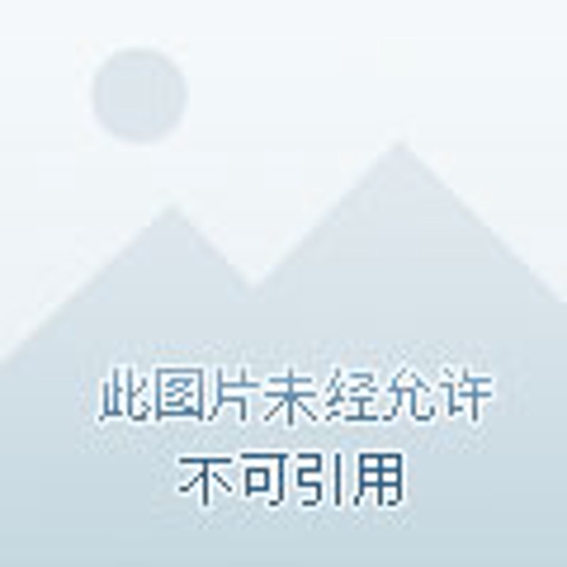 余杭皮件厂:古老工艺与现代潮流的交织